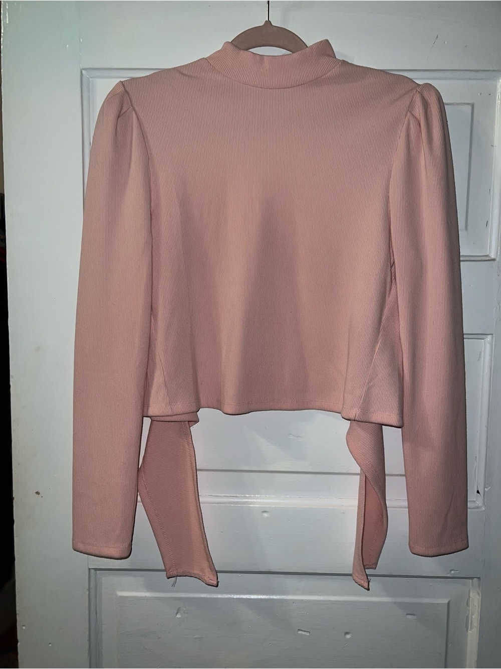 miami Blush Pink Mock Neck Long Sleeve open back Crop Top